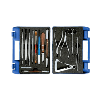 صورة الفئة: 