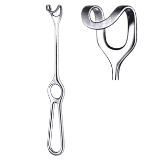 صورة الفئة: 