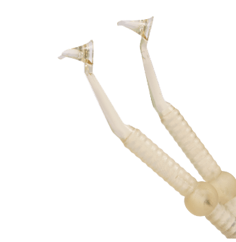 صورة الفئة: 