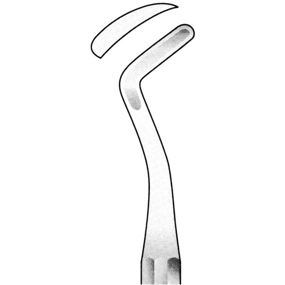 صورة المنتج