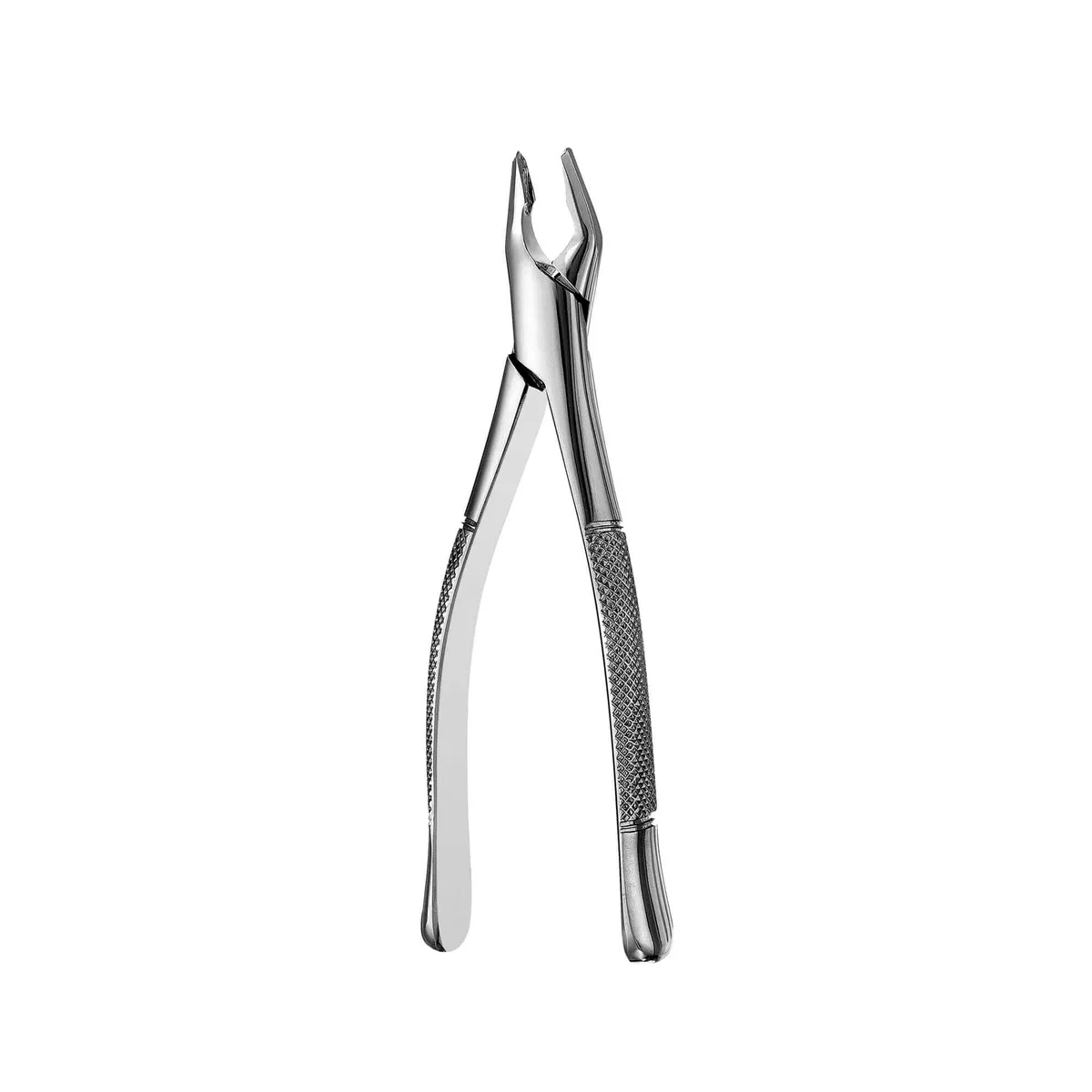 Apical Forceps #150