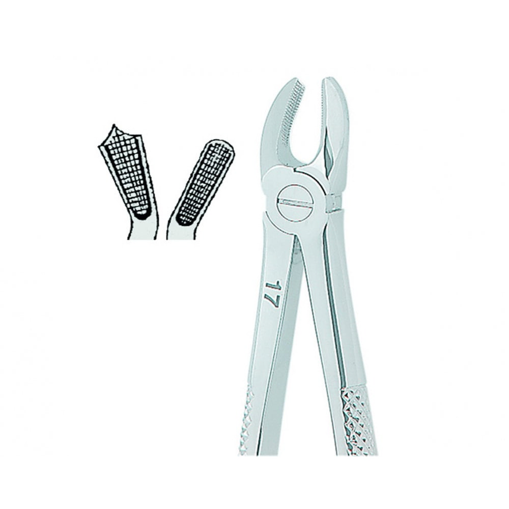 صورة المنتج