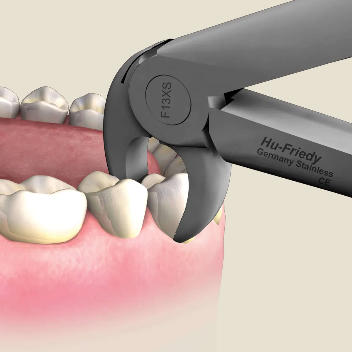 Lower Premolars Extraction Forceps #13 Atraumair