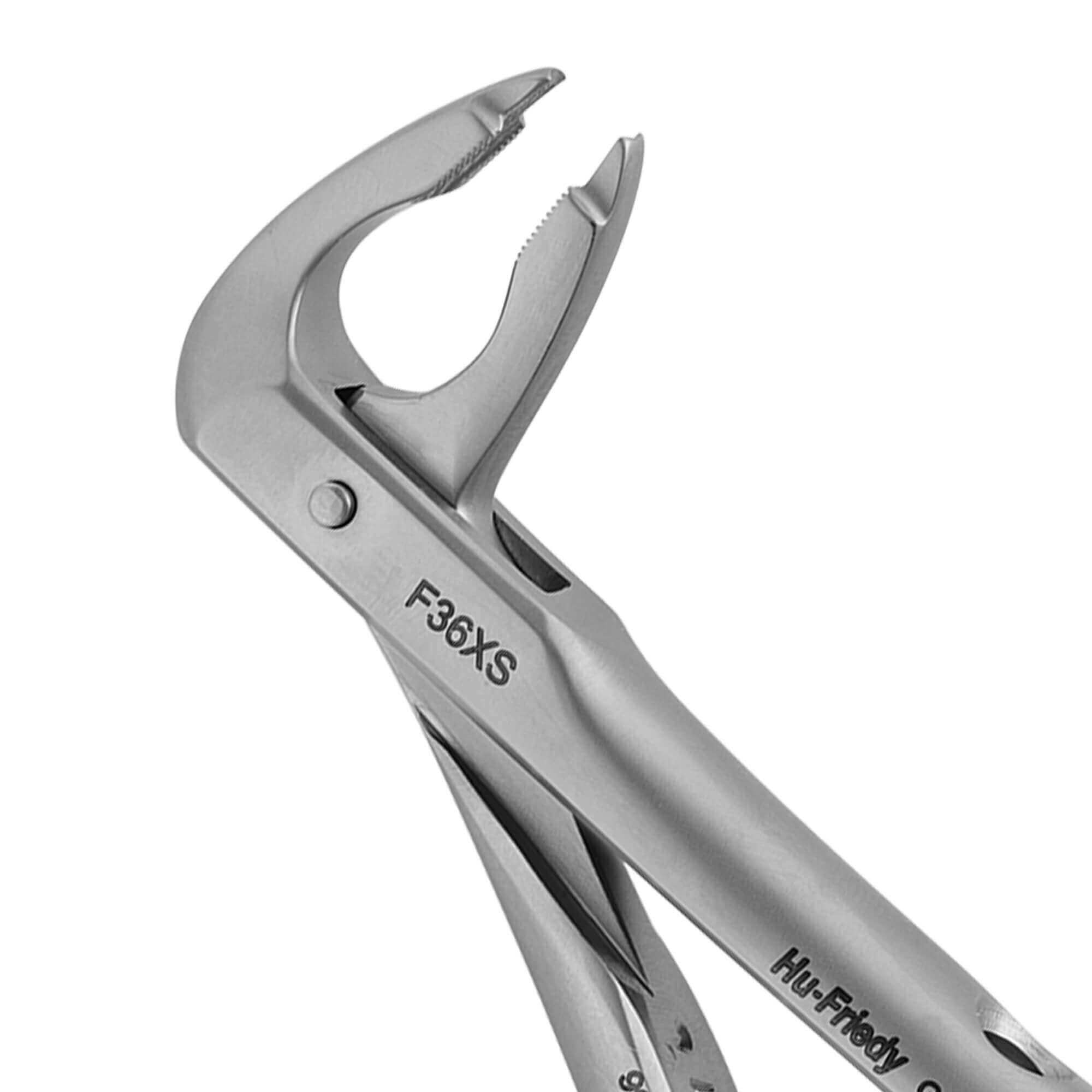 Lower Incisors/Canines Forceps, #36 Atraumair