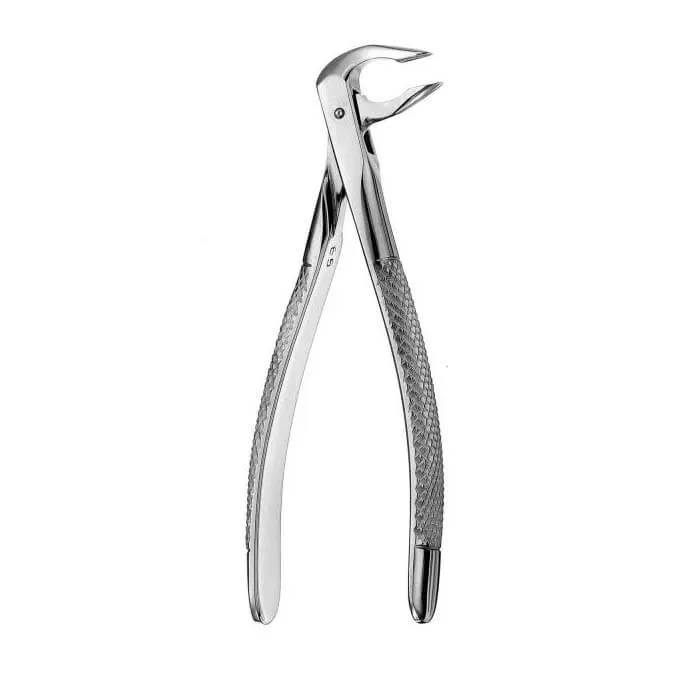 Apical Lower Anterior Inferior Forceps #X74N