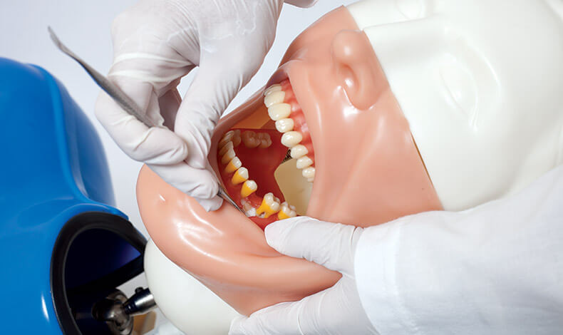 Bob Phantom Head Simulator