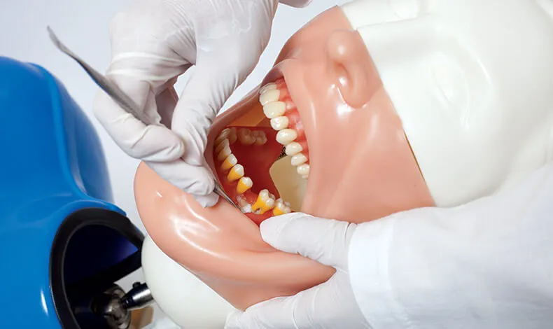 Bob Phantom Head Simulator