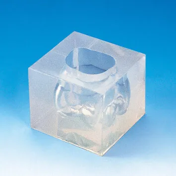 H4-304, 4X Size Plaster Tooth Model Former