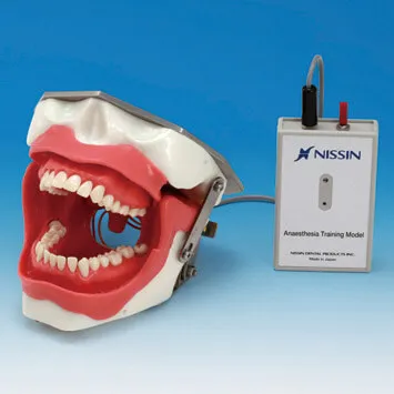 SUG2005-UL-SP, Conduction Anesthesia Model