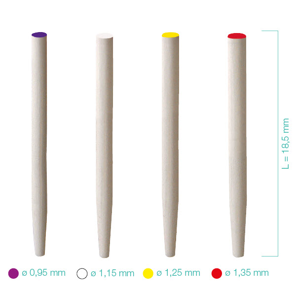 Dento Clic Glass Fiber Post Kit